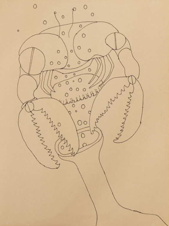 Eduardo Navarro: Drawings (Fig. 753)