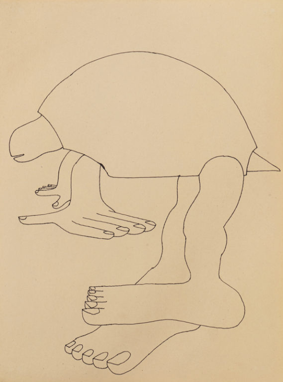 Eduardo Navarro: Drawings (Fig. 489)