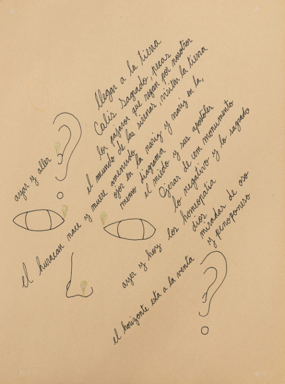 Eduardo Navarro: Drawings (Fig. 575)