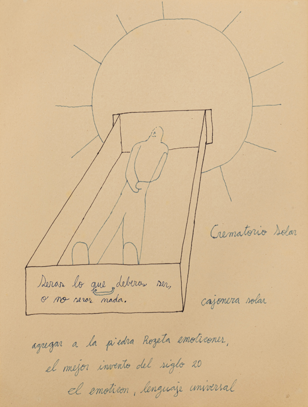 Eduardo Navarro: in collaboration with the sun (Fig. 44)