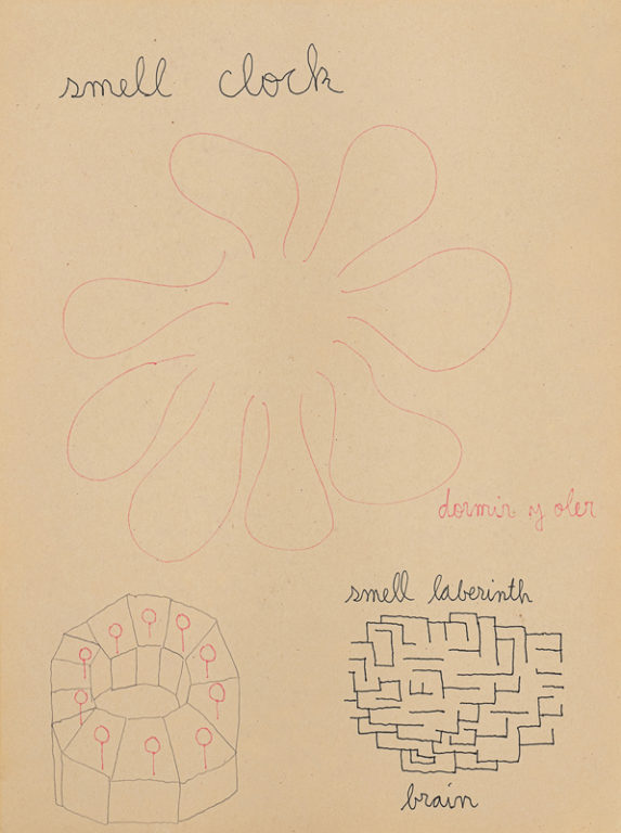 Eduardo Navarro: Drawings (Fig. 354)