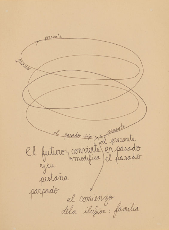 Eduardo Navarro: Drawings (Fig. 161)