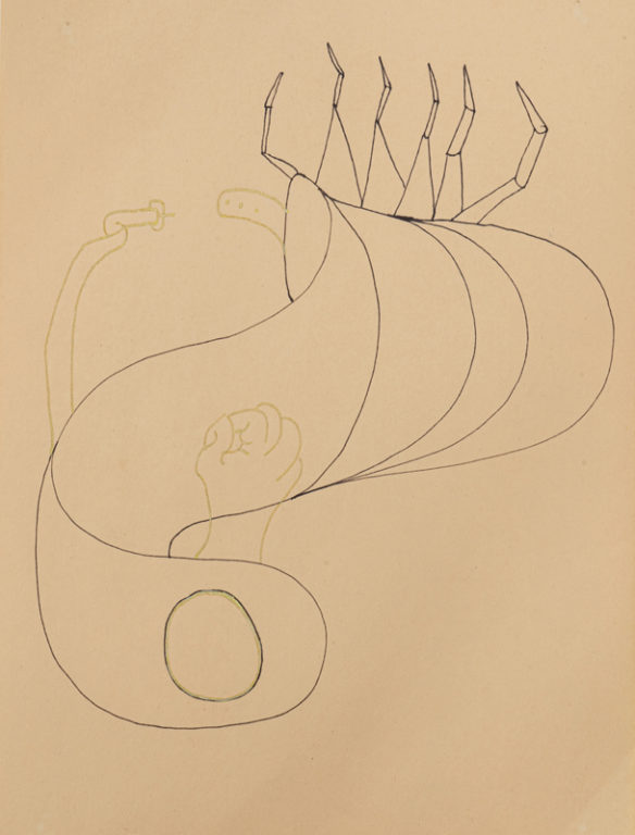 Eduardo Navarro: Drawings (Fig. 317)