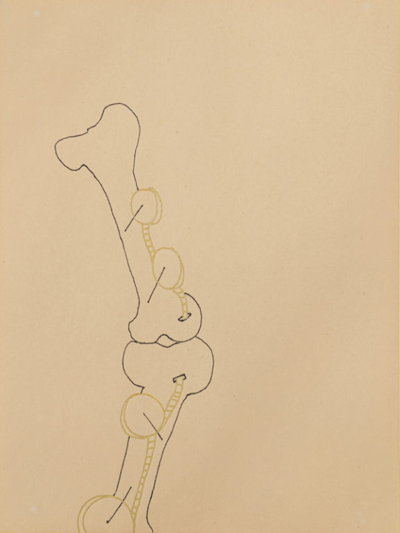 Eduardo Navarro: Drawings (Fig. 400)