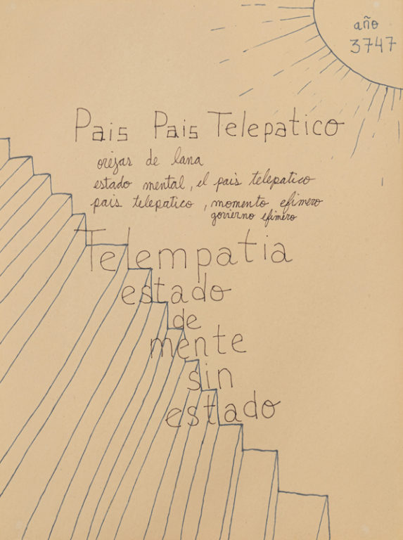 Eduardo Navarro: Drawings (Fig. 299)