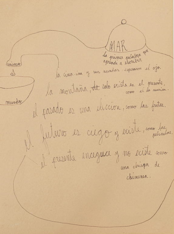 Eduardo Navarro: Drawings (Fig. 334)