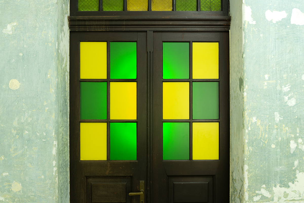 Eduardo Navarro: vegetal ear (Fig. 7)