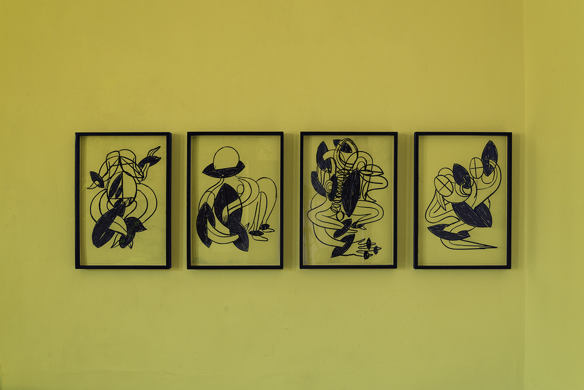 Eduardo Navarro: vegetal ear (Fig. 15)