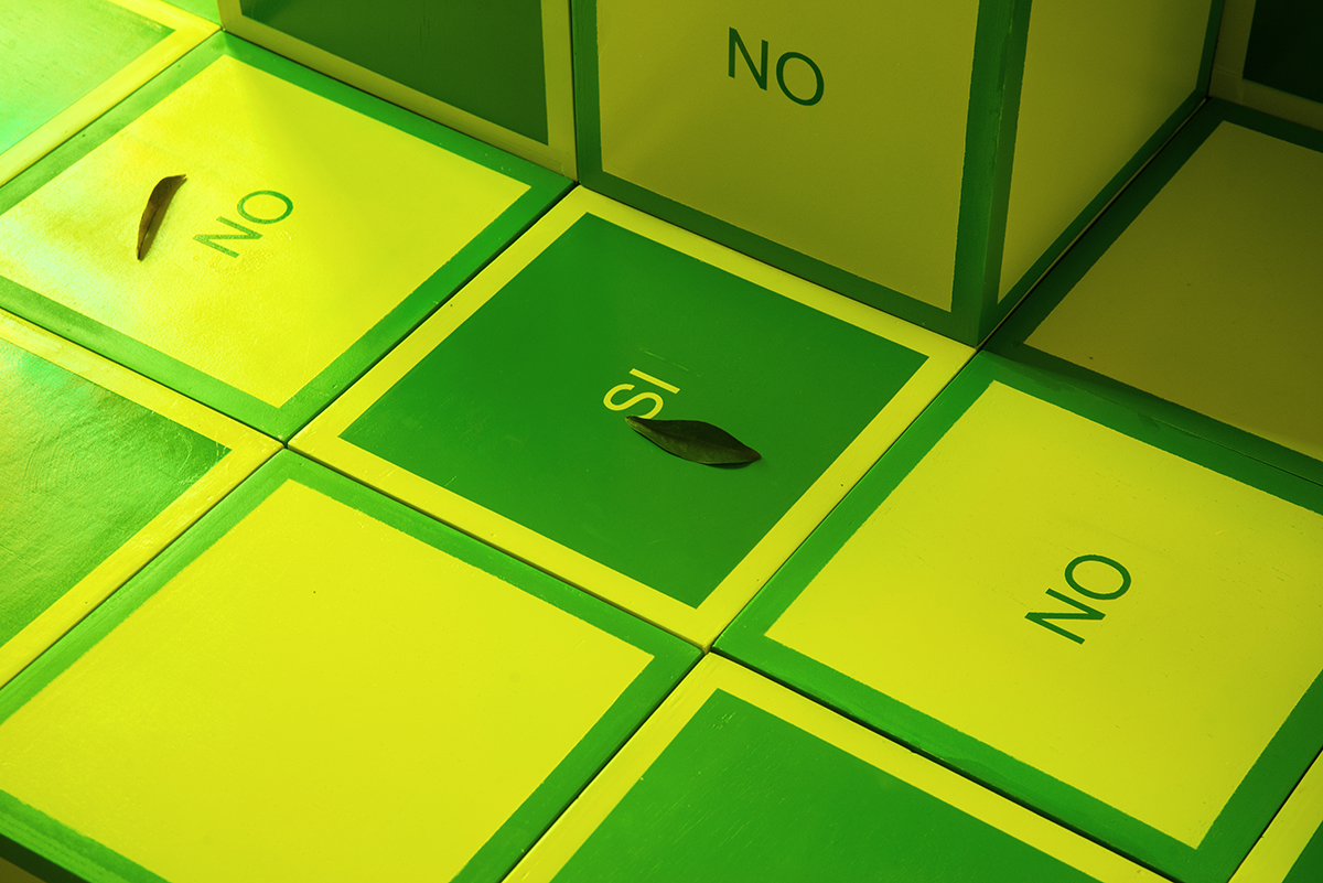 Eduardo Navarro: vegetal ear (Fig. 11)