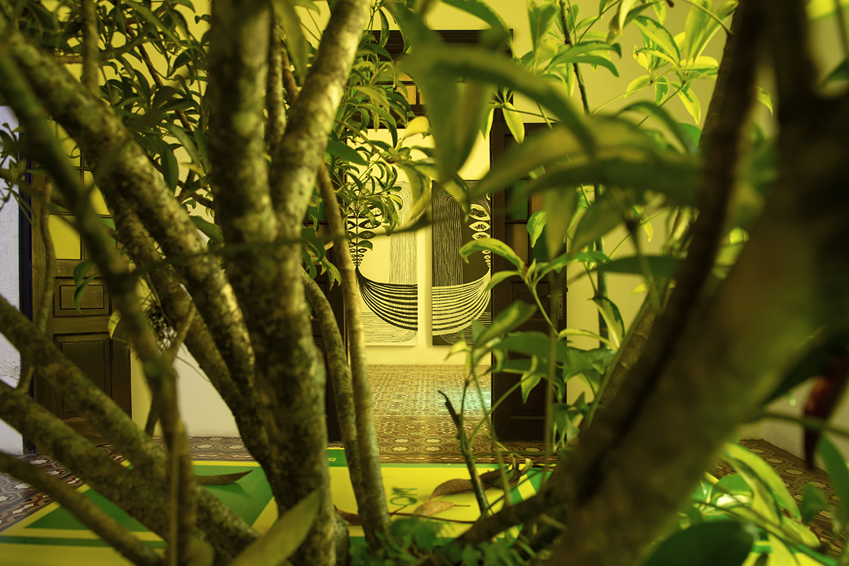 Eduardo Navarro: vegetal ear (Fig. 16)