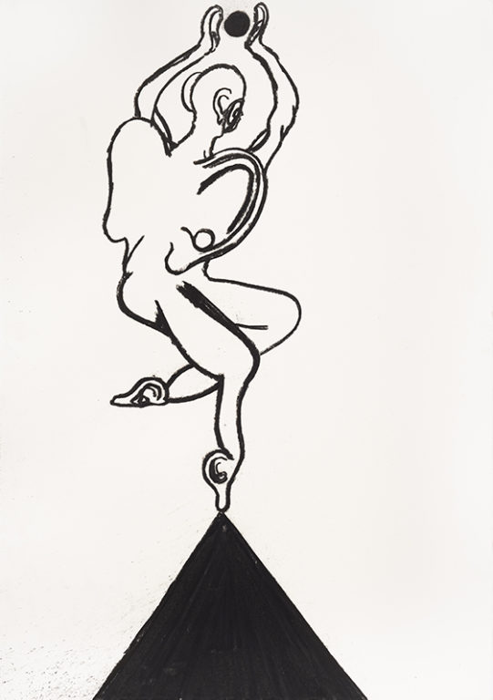 Eduardo Navarro: Drawings (Fig. 294)