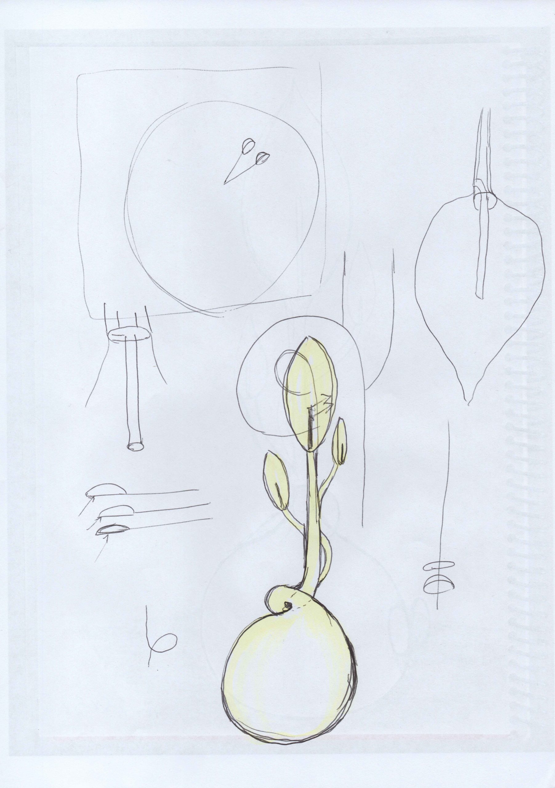 Eduardo Navarro: spathiphyllum auris (Fig. 16)