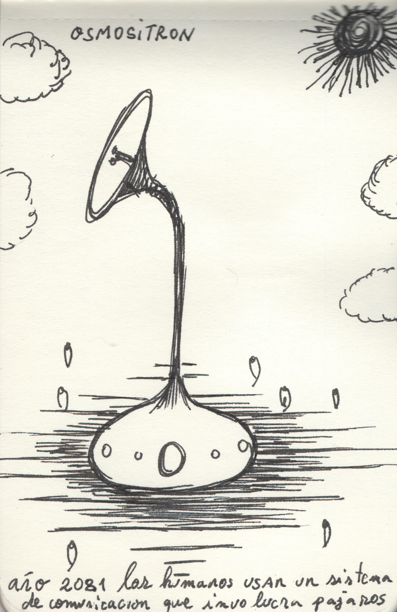 Eduardo Navarro: spathiphyllum auris (Fig. 14)