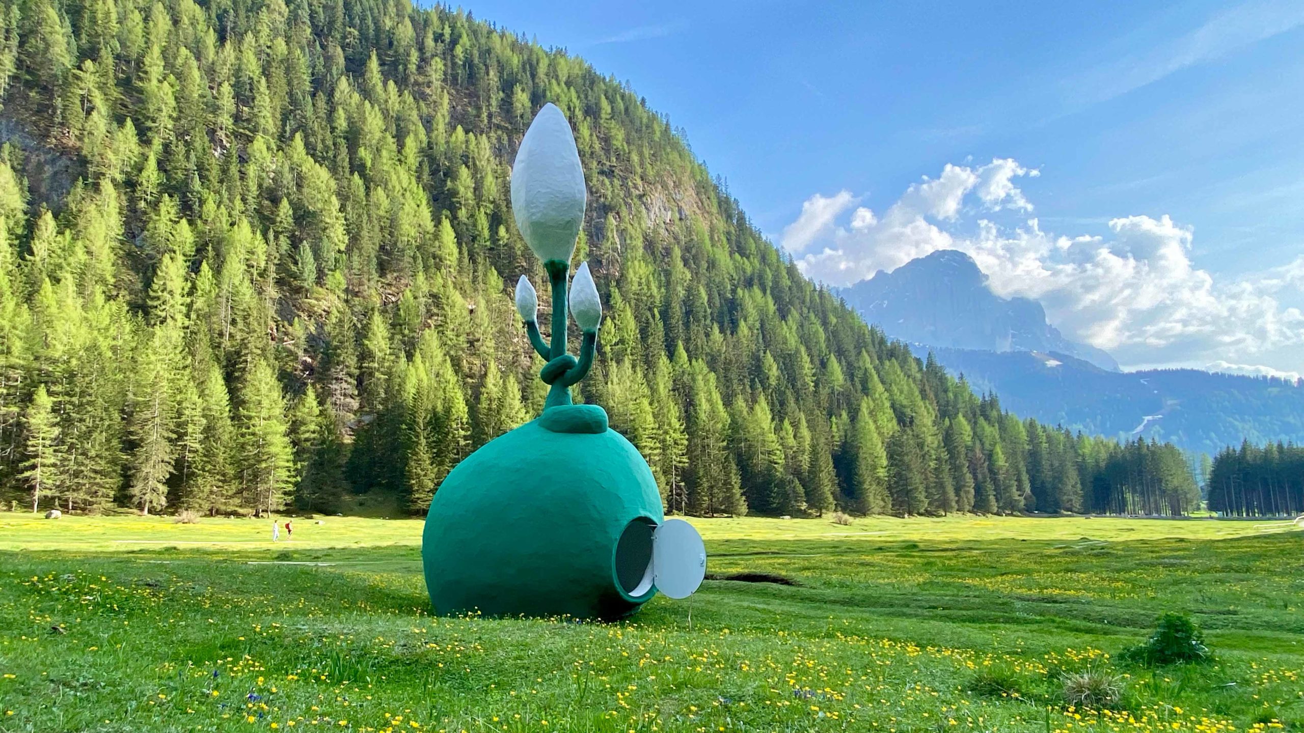 Eduardo Navarro: spathiphyllum auris (Fig. 6)