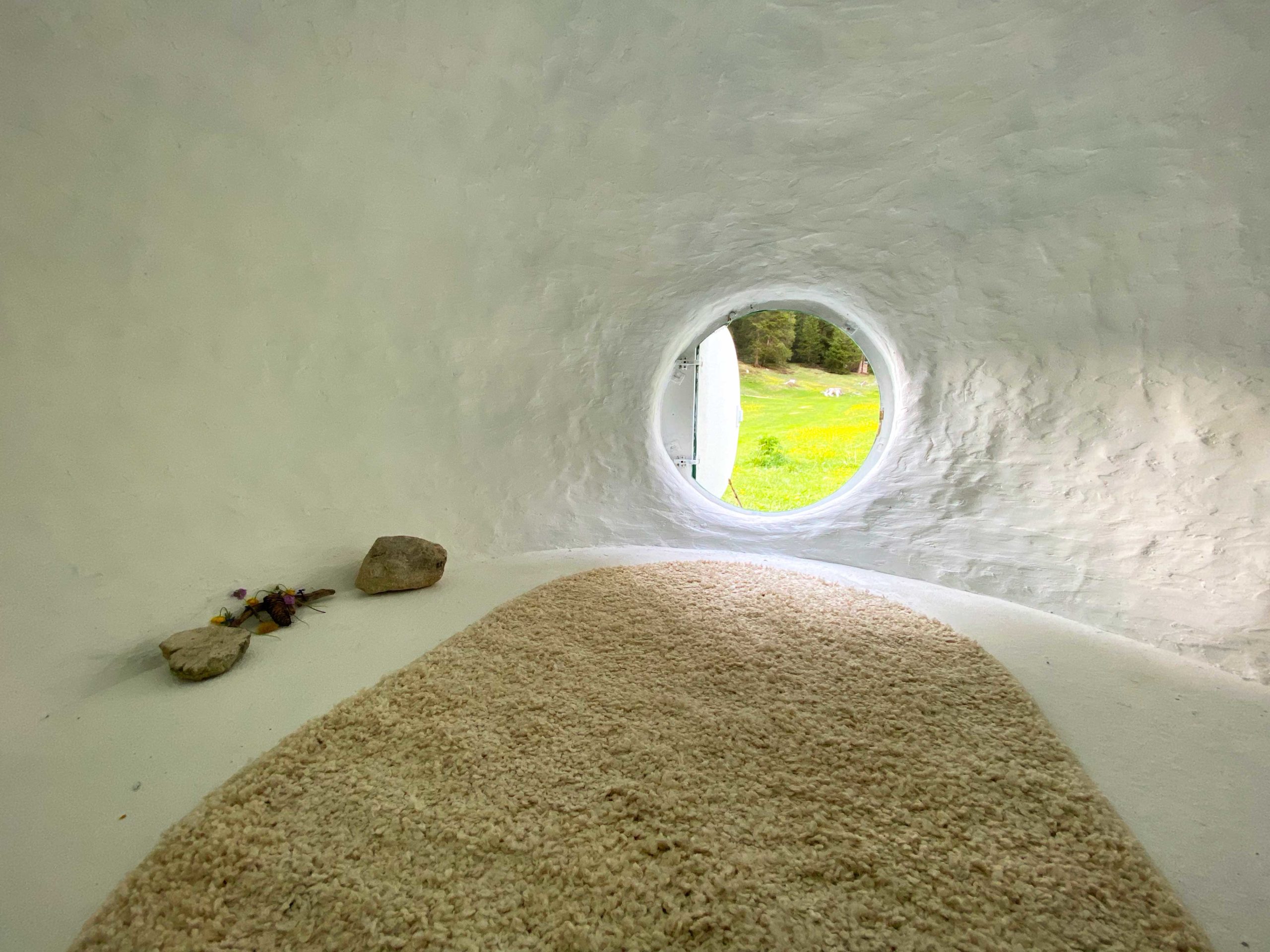 Eduardo Navarro: spathiphyllum auris (Fig. 5)