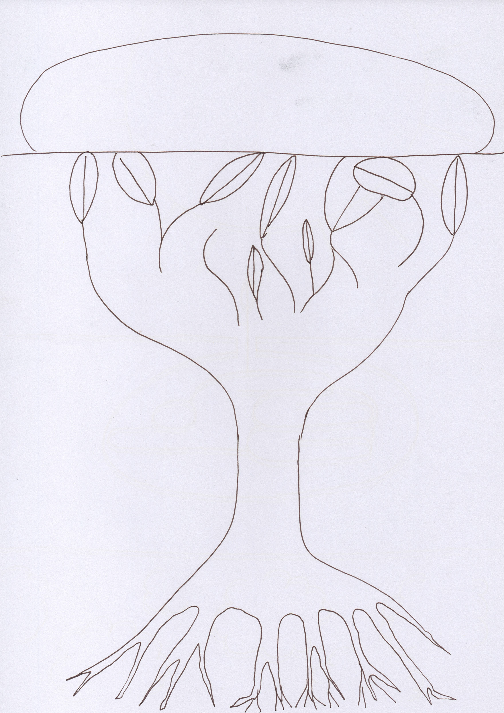 Eduardo Navarro: index of shapes (Fig. 31)