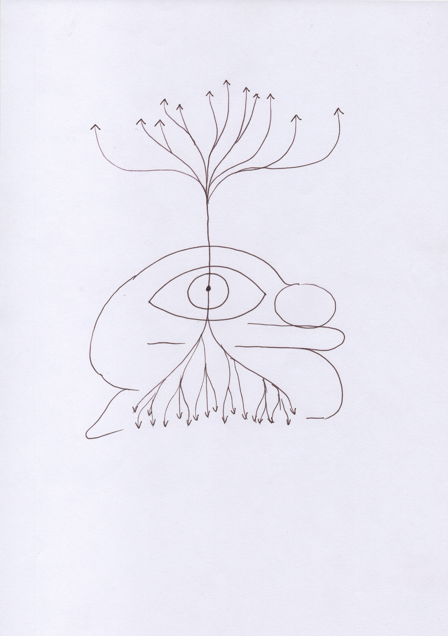 Eduardo Navarro: index of shapes (Fig. 34)