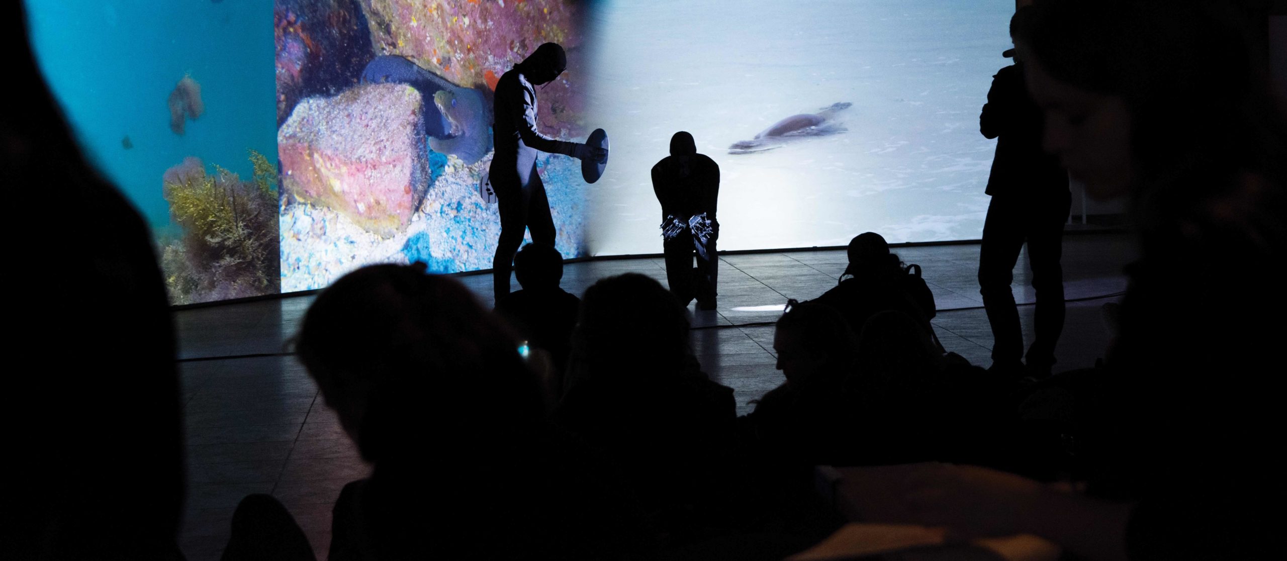 Eduardo Navarro: touching without (Fig. 11)