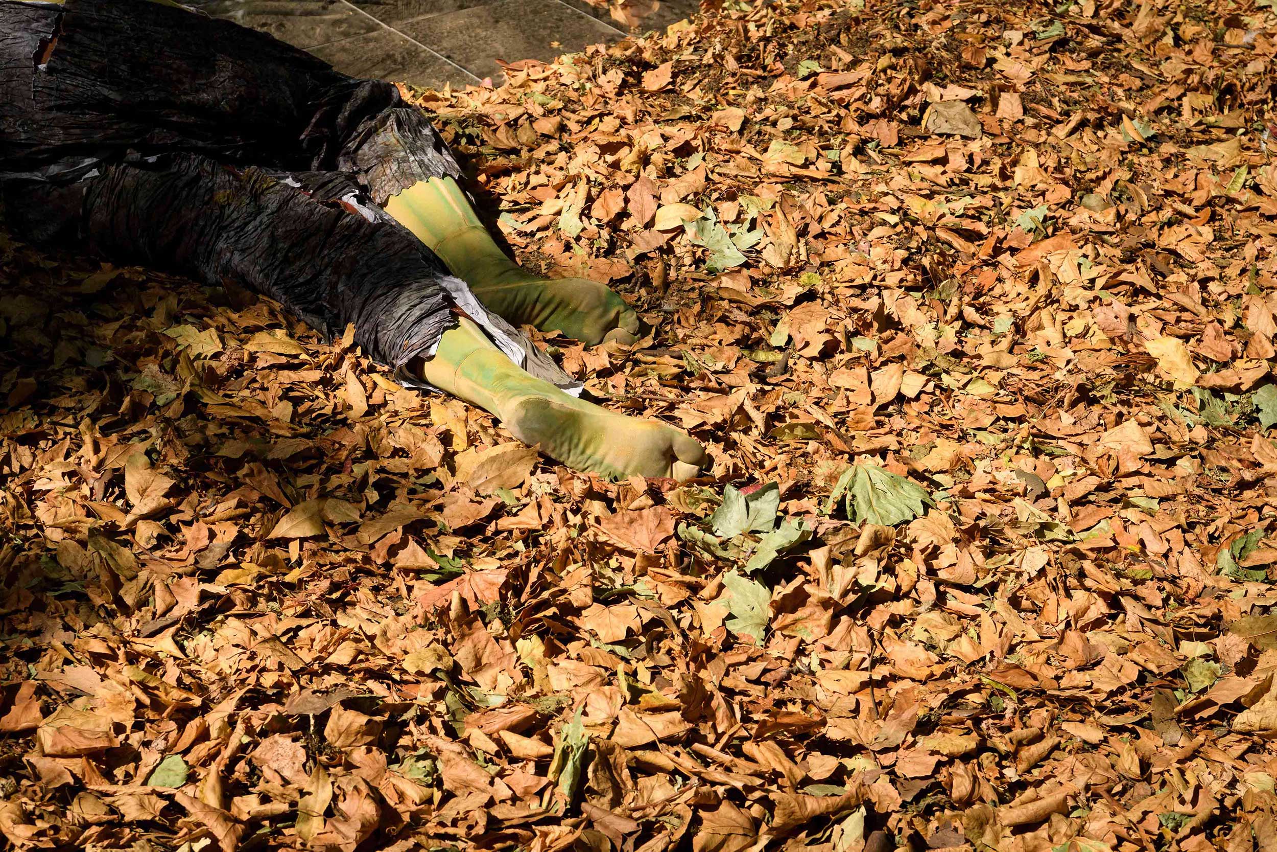 Eduardo Navarro: index of shapes (Fig. 8)