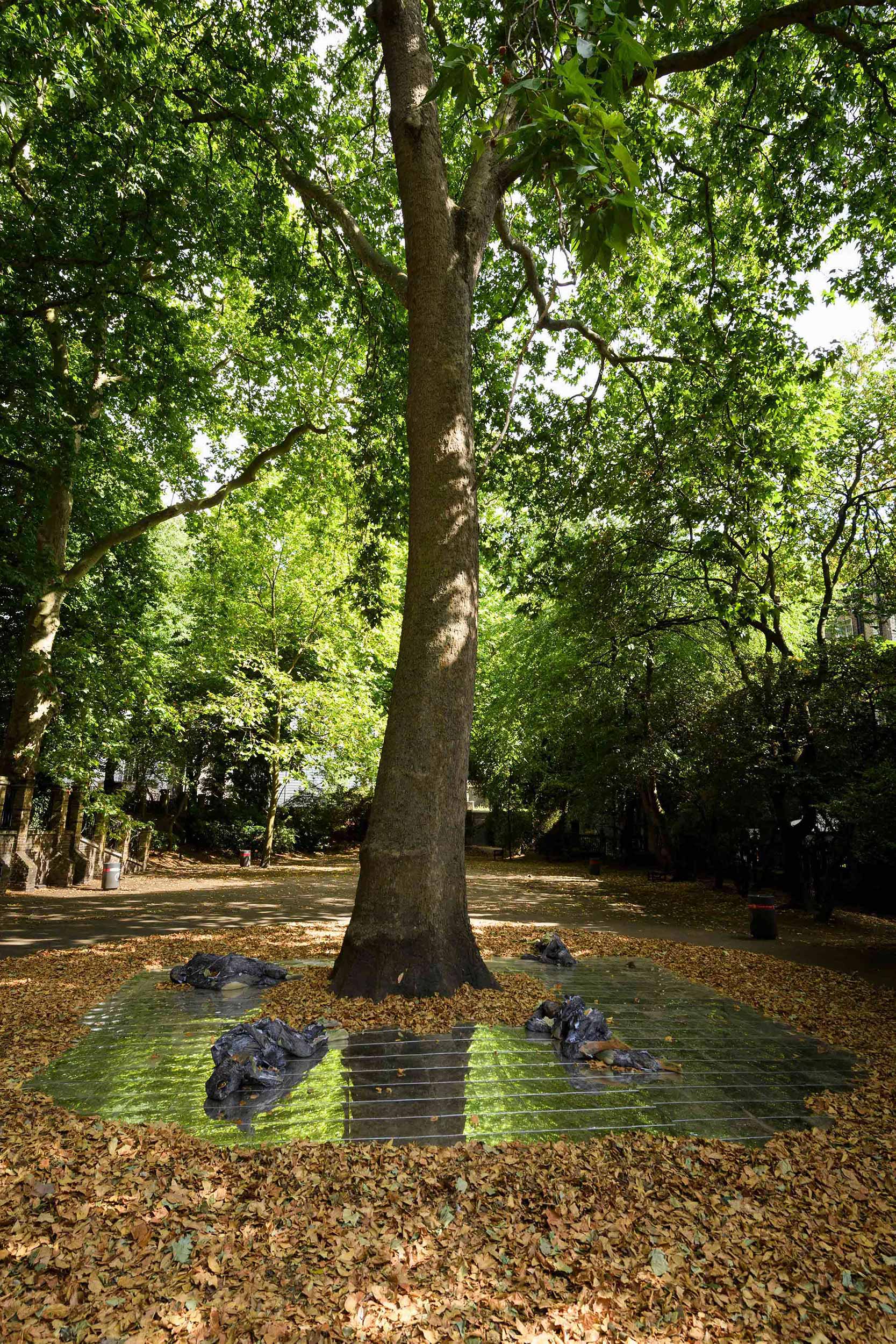 Eduardo Navarro: index of shapes (Fig. 2)