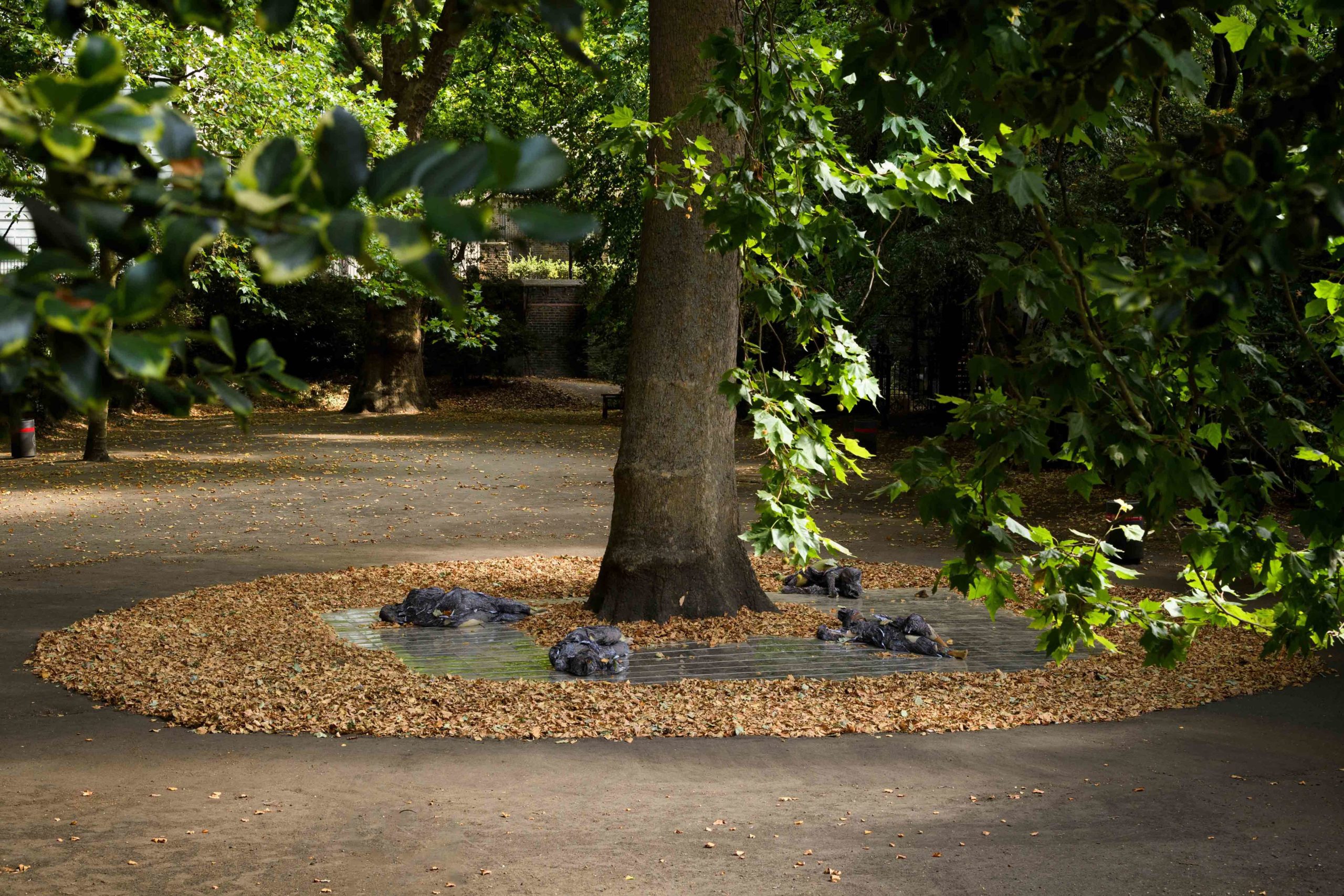 Eduardo Navarro: index of shapes (Fig. 1)