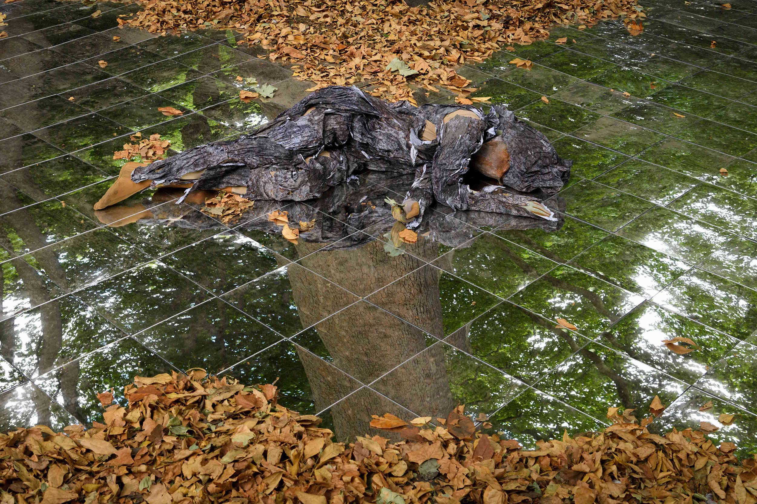 Eduardo Navarro: index of shapes (Fig. 11)