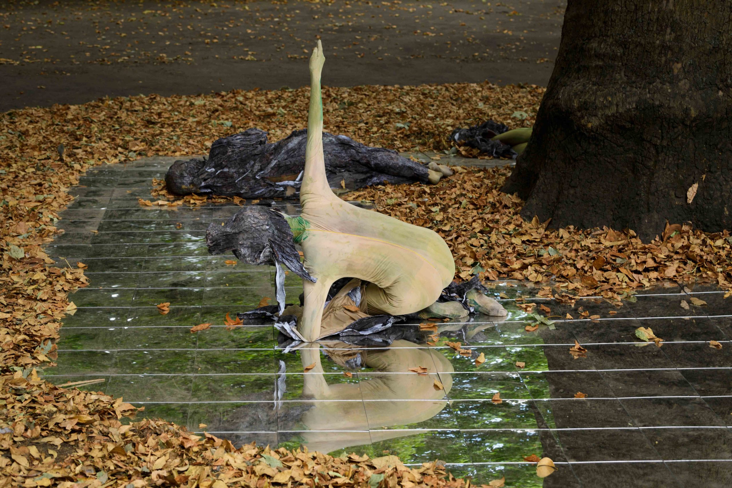 Eduardo Navarro: index of shapes (Fig. 21)