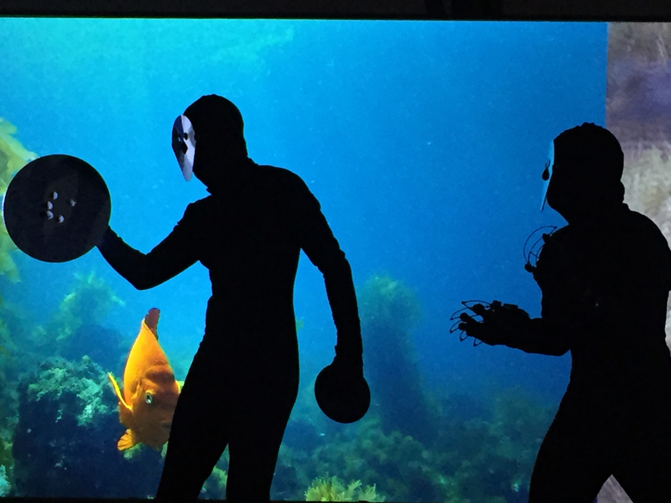 Eduardo Navarro: touching without (Fig. 14)