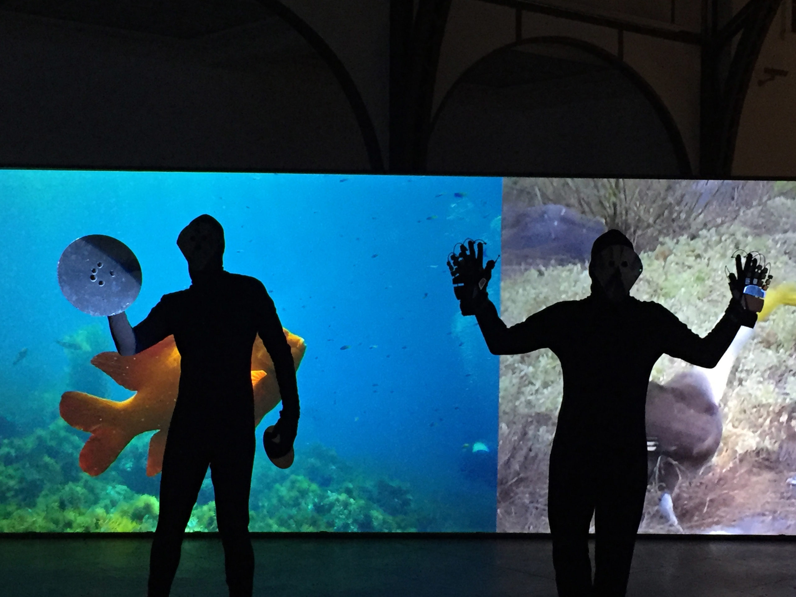 Eduardo Navarro: touching without (Fig. 15)