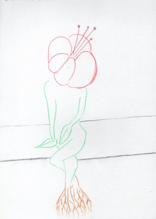 Eduardo Navarro: Drawings (Fig. 362)