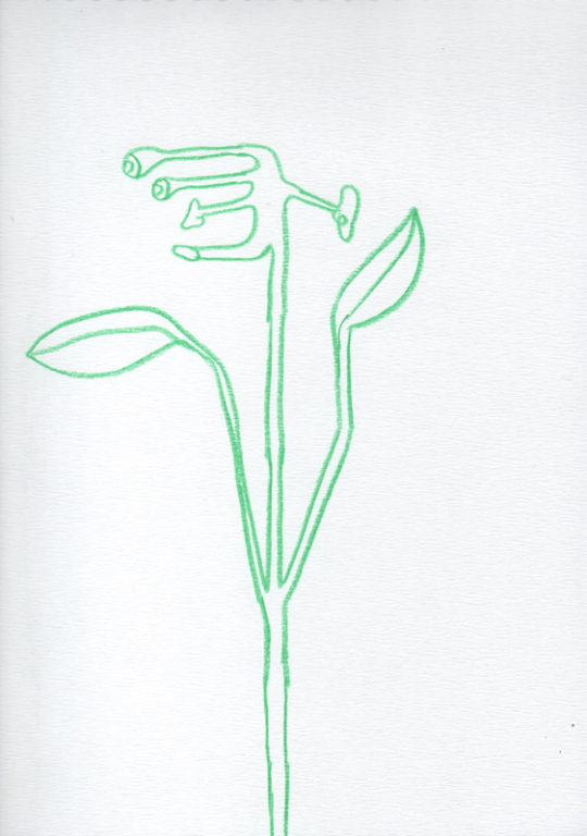 Eduardo Navarro: Drawings (Fig. 31)