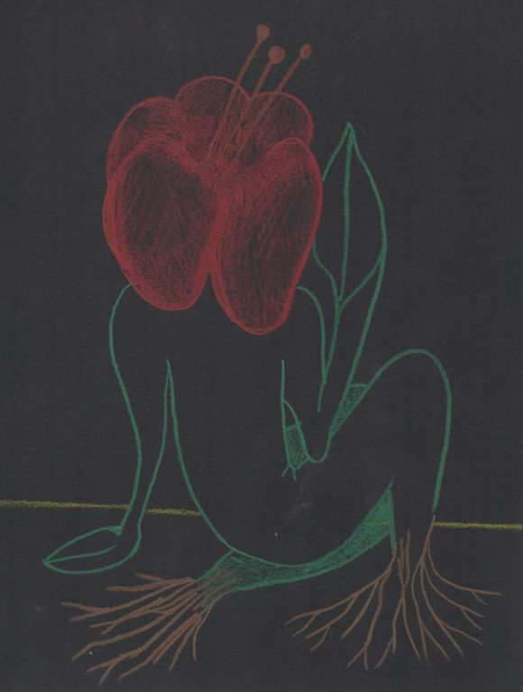 Eduardo Navarro: Drawings (Fig. 348)