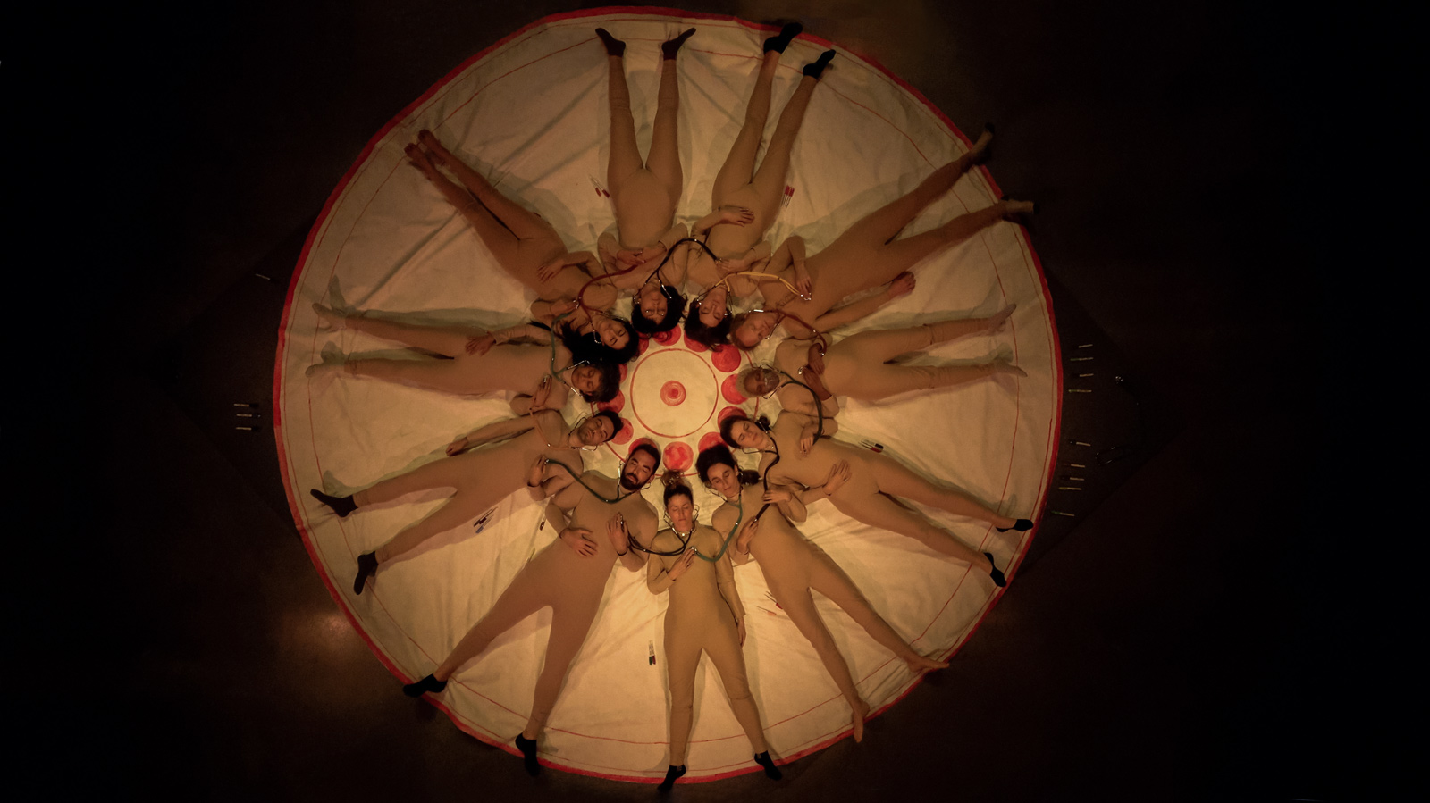 Eduardo Navarro: circular heart hearing (Fig. 2)