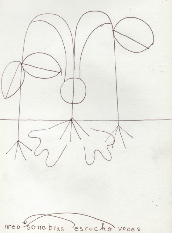 Eduardo Navarro: Drawings (Fig. 43)