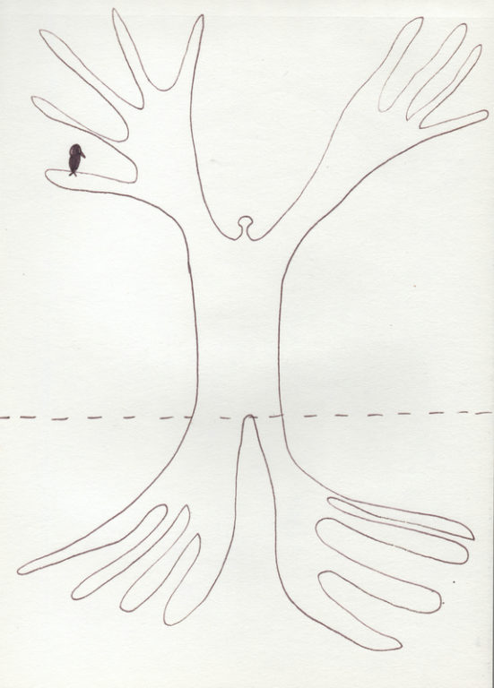 Eduardo Navarro: Drawings (Fig. 601)