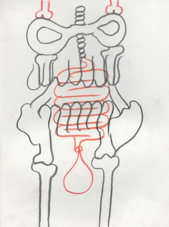 Eduardo Navarro: Drawings (Fig. 94)
