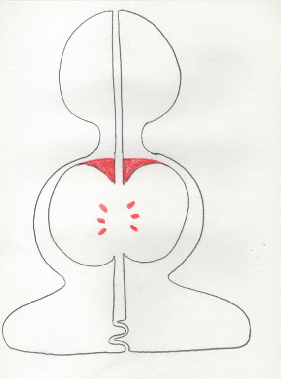 Eduardo Navarro: Drawings (Fig. 611)