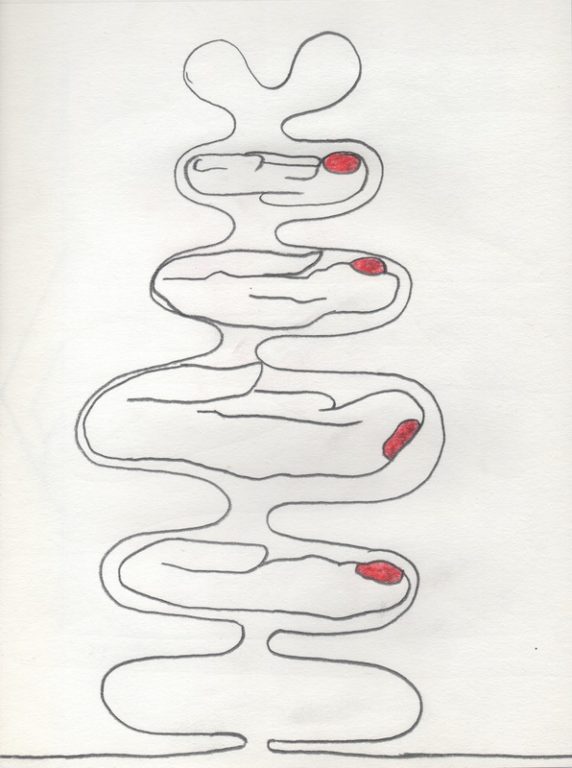 Eduardo Navarro: Drawings (Fig. 430)