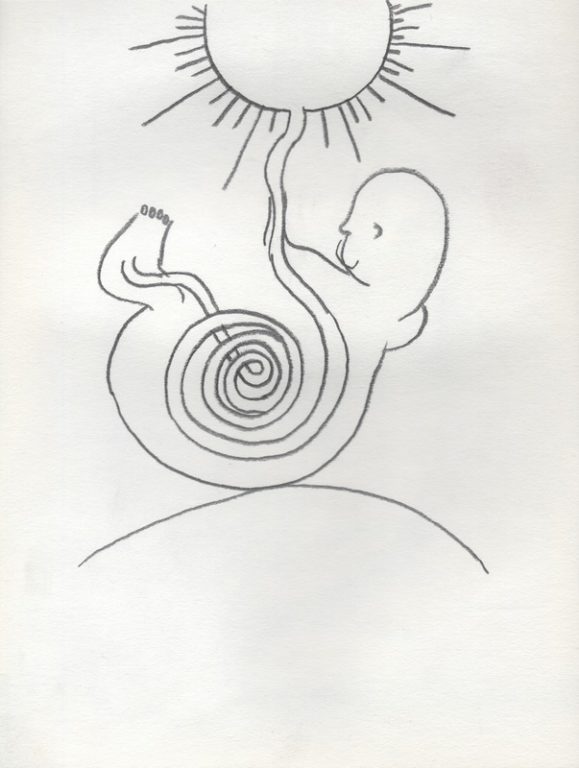 Eduardo Navarro: Drawings (Fig. 329)