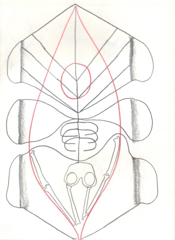Eduardo Navarro: Drawings (Fig. 459)