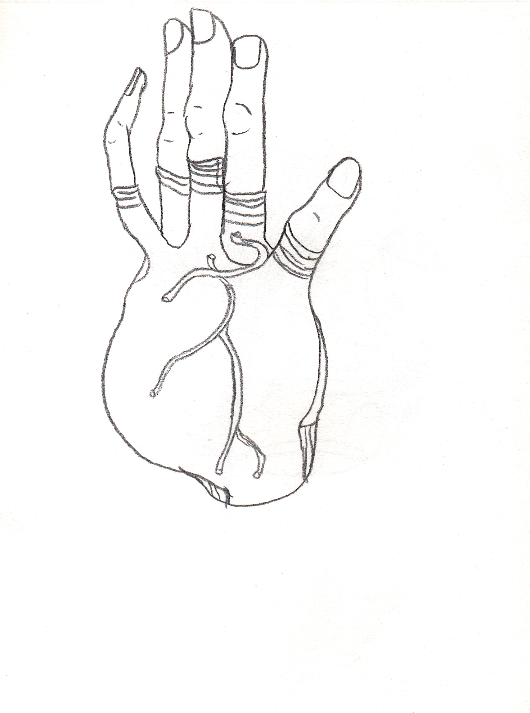 Eduardo Navarro: circular heart hearing (Fig. 5)