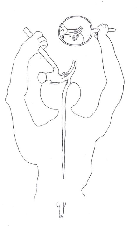 Eduardo Navarro: Drawings (Fig. 640)