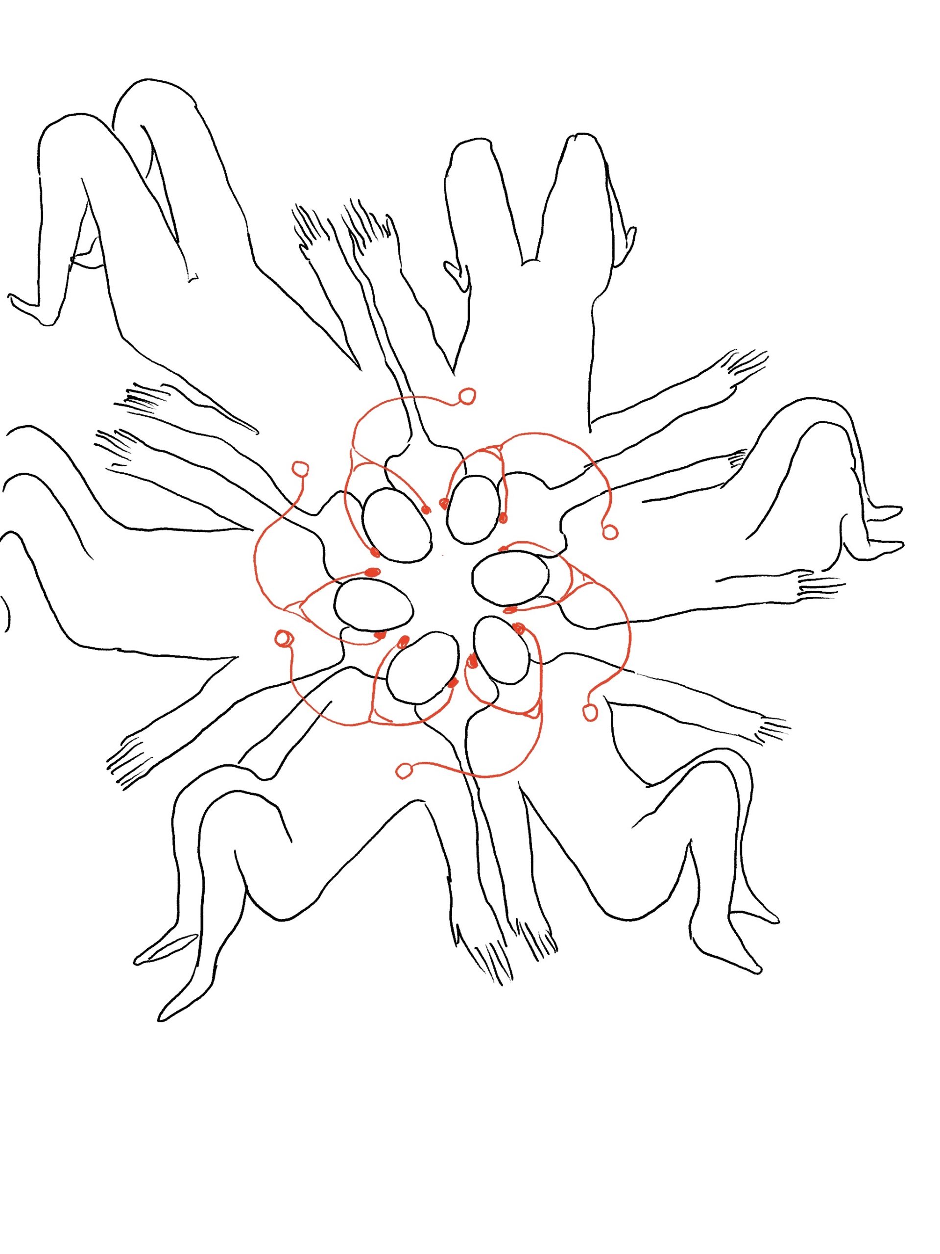 Eduardo Navarro: circular heart hearing (Fig. 4)