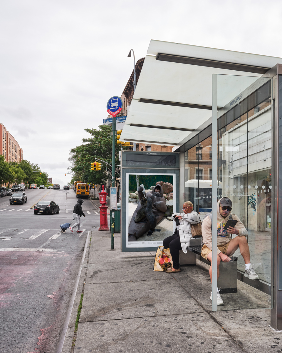 Eduardo Navarro: f.o.c.a (Fig. 8)