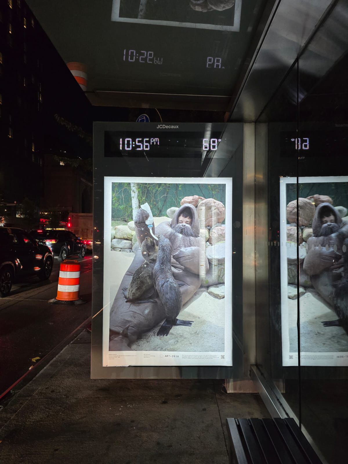 Eduardo Navarro: f.o.c.a (Fig. 6)