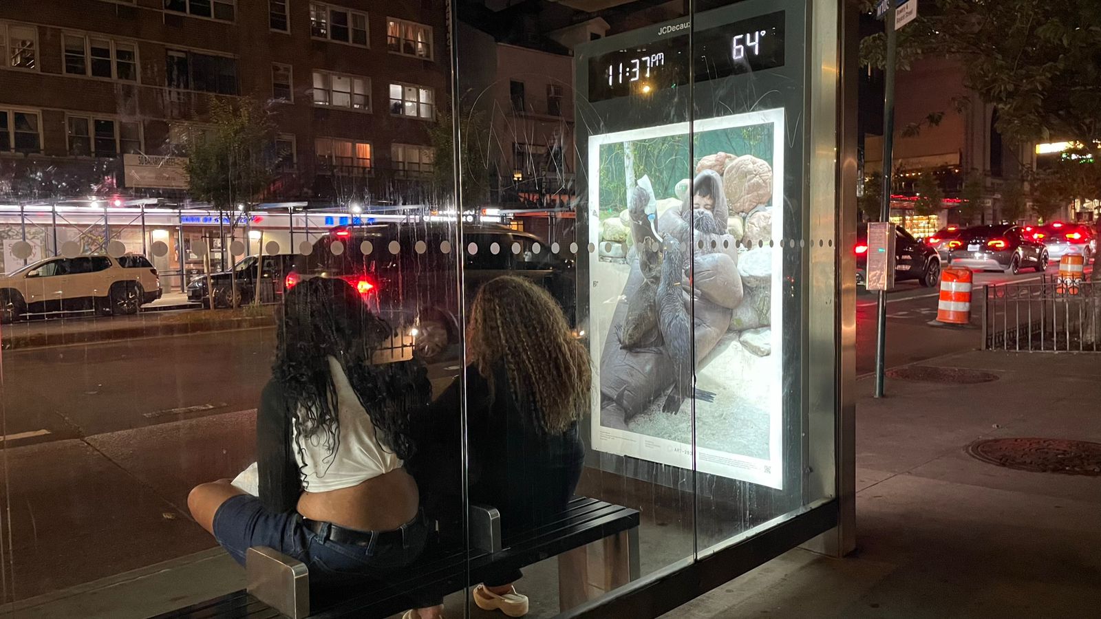 Eduardo Navarro: f.o.c.a (Fig. 7)