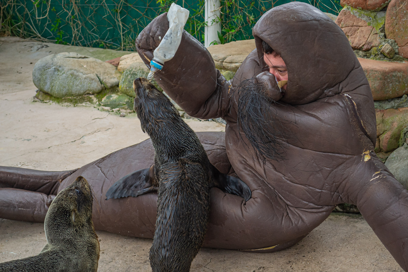 Eduardo Navarro: f.o.c.a (Fig. 5)