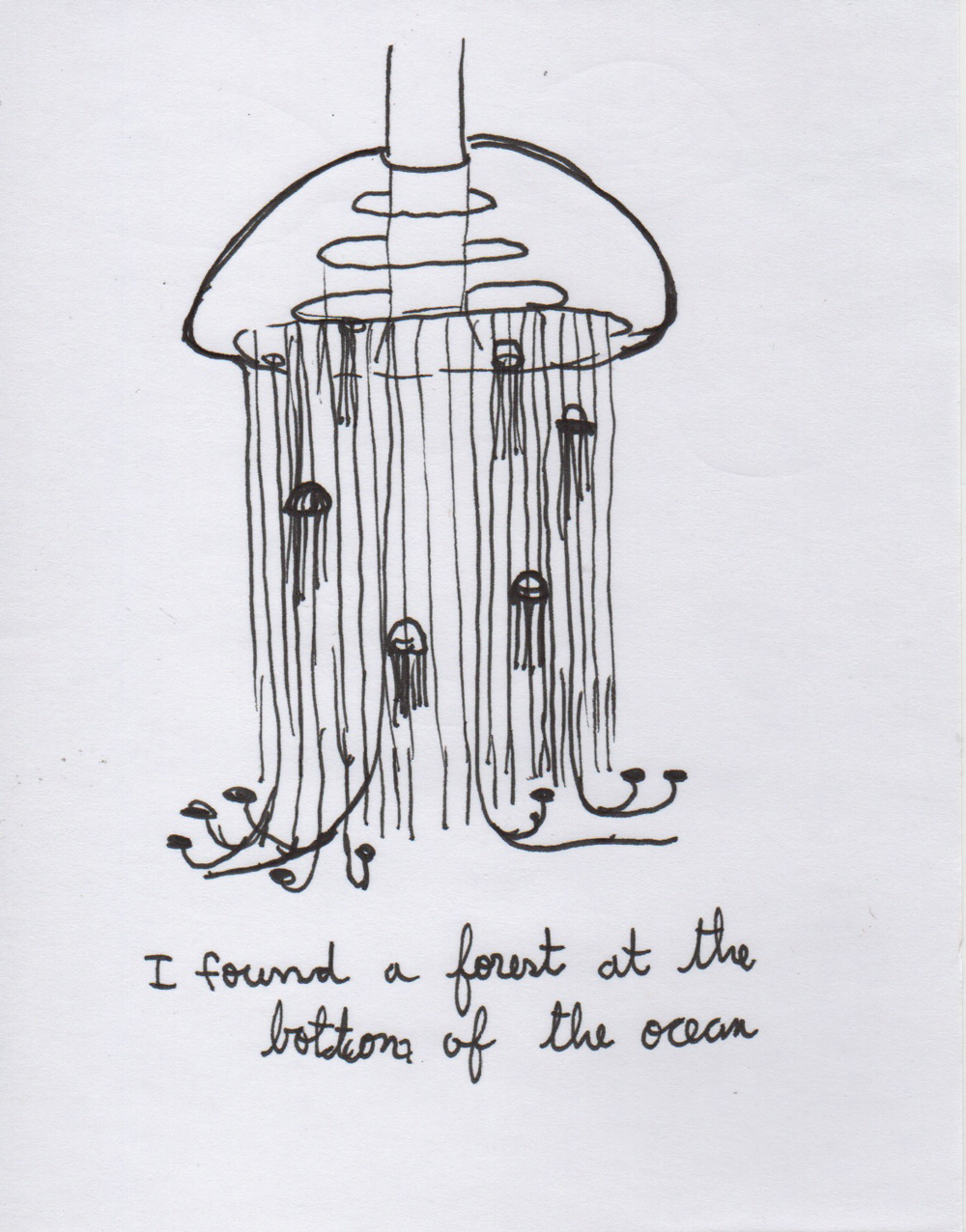 Eduardo Navarro: i found a forest at the bottom of the ocean (Fig. 19)