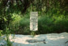 Eduardo Navarro: River-Heart (Fig. 1)