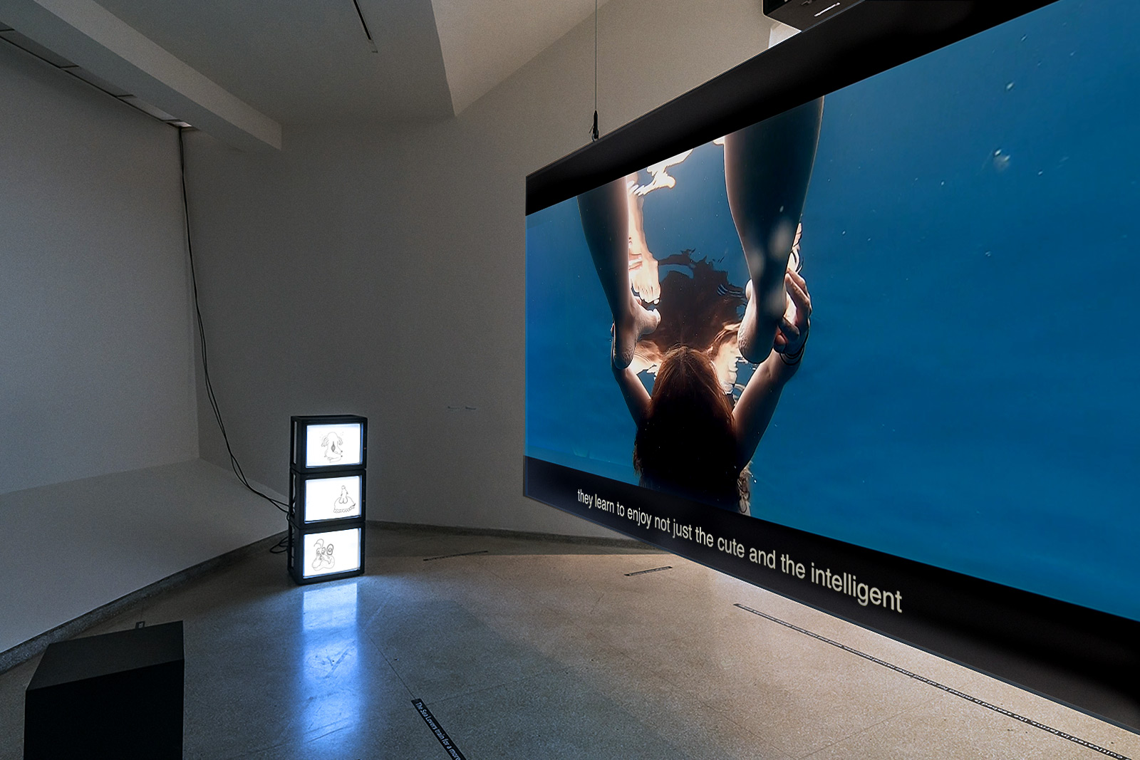 Eduardo Navarro: Wet Gods by Ingo Niermann (Fig. 1)